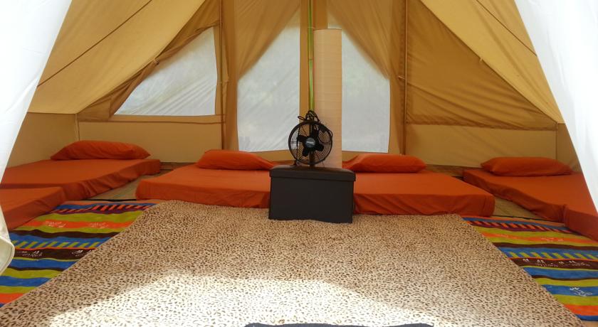 5 Lokasi Camping Untuk Orang-Orang GlamorousGlamping!