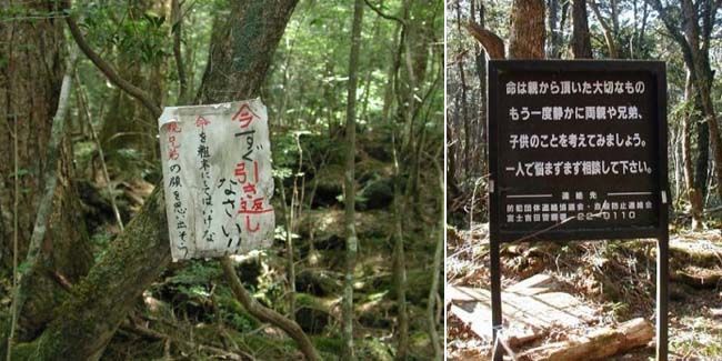 Video Logan Paul Rekod Mayat Di Hutan Aokigahara Dulu, Ini 