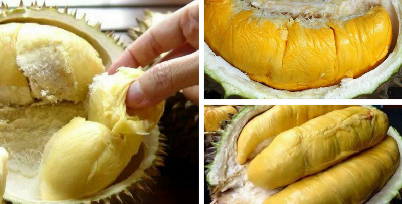 Kalau Tak Nak Dapat Isi Tak Sedap & Sikit, Perhati Pada 10 Aspek Pada Durian Tu Sebelum Pilih