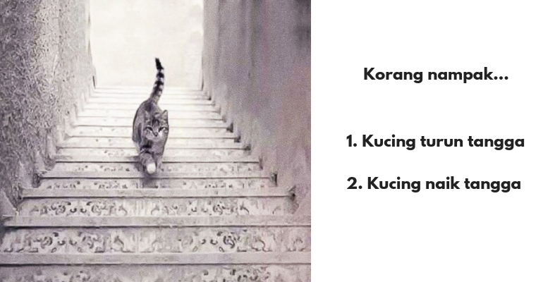 Кот поднимается или спускается. Кот спускается или поднимается по лестнице. Кот идет по ступенькам. Иллюзия кот на лестнице. Перемещаться из стороны в сторону