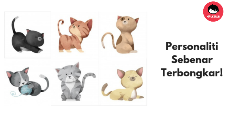 Mana Satu Kucing Pilihan Korang? Personaliti Sebenar Terbongkar Melalui Gambar Ni Je!