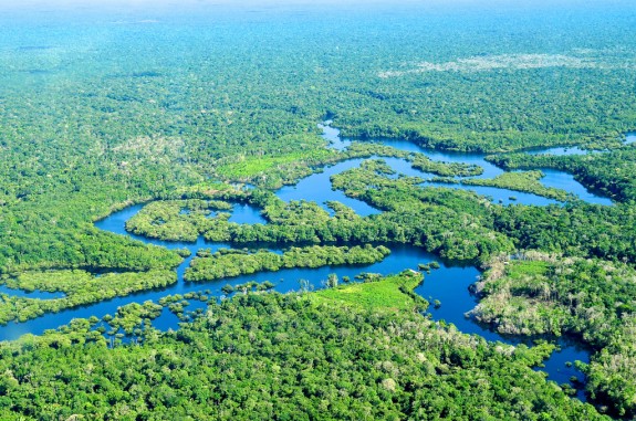 5 Fakta Hutan Amazon Yang Semua Tak Tahu Oh Lokasi Filem Famous Korang Rupanya