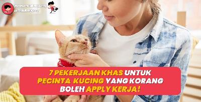 7 Pekerjaan Khas Untuk Pencinta Kucing Yang Korang Boleh Apply Kerja!